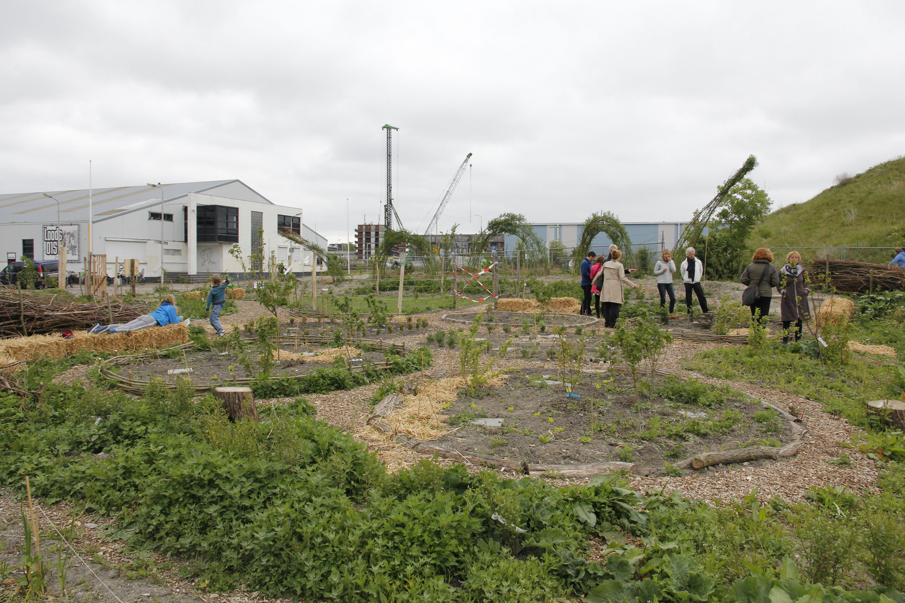 13: Delftse PROEFtuin - Stichting Groenkracht